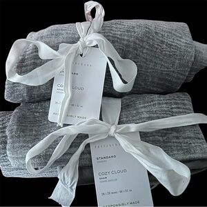 Two Pottery Barn Cozy Cloud Gray Pillow Shams